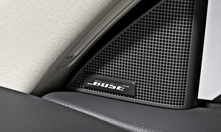 Close up of Bose logo badge on door trim speaker.