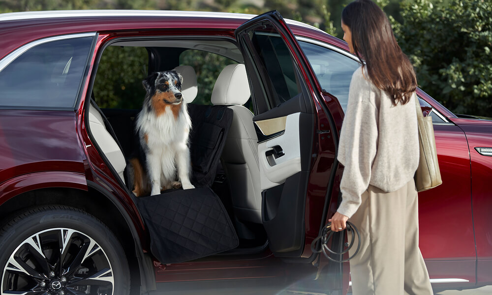 A side profile of a woman standing outside the CX-90 holding a leash with a dog sitting in the back seat with the passenger door open.